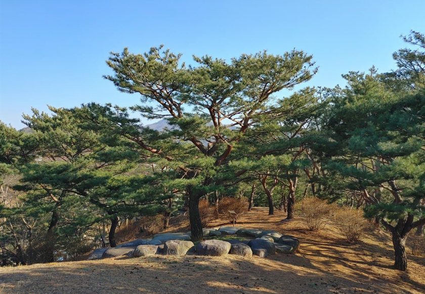Wolmyeongdong landscape 1